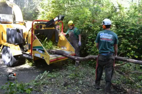 tree services St. Joseph